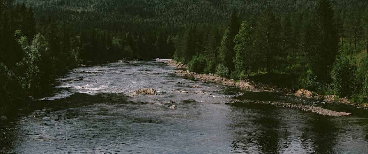 Mehr über den Artikel erfahren [3.3] Tage auf dem Fluss