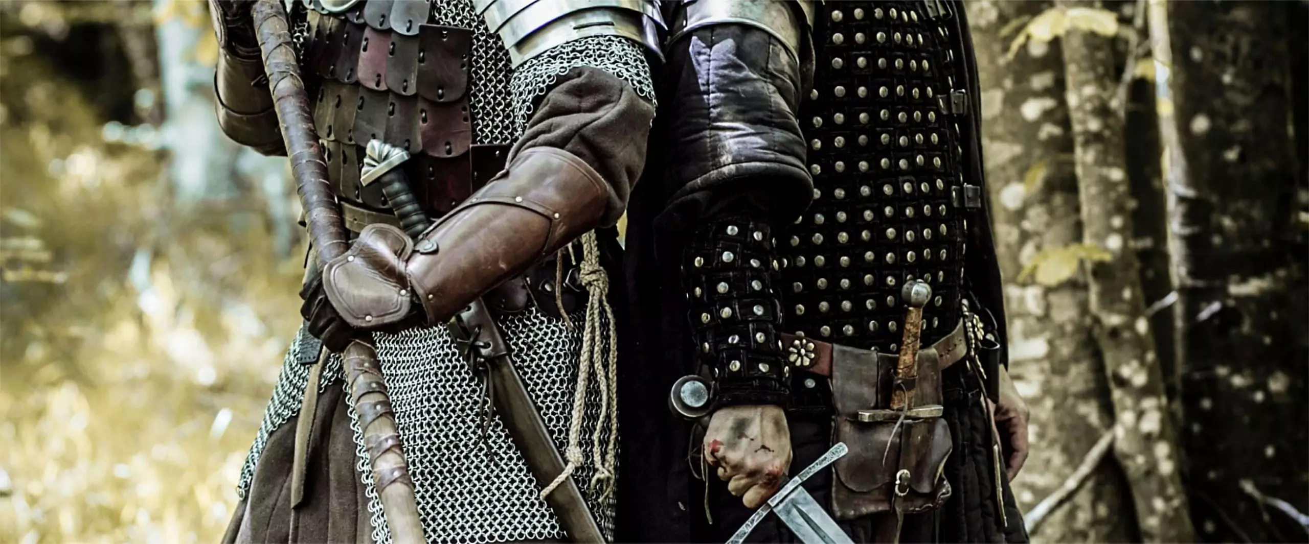 Mehr über den Artikel erfahren [4.4] Schwertgeschwister…