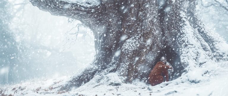 Bornland, Überwals, Das Schwarze Auge, DSA, Kriegerpoeten